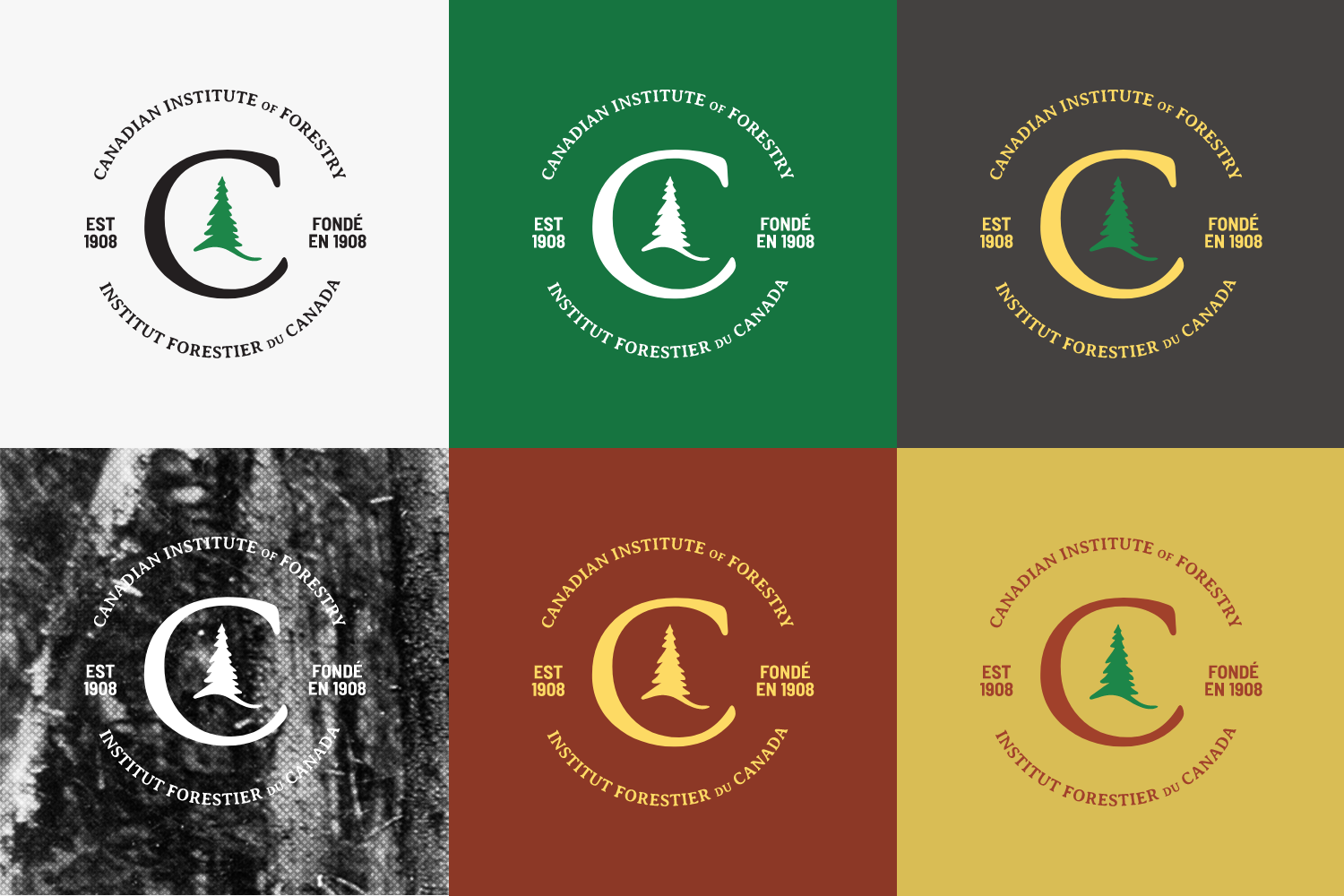 Heritage-logos Mosaic of six colourful heritage logos.
