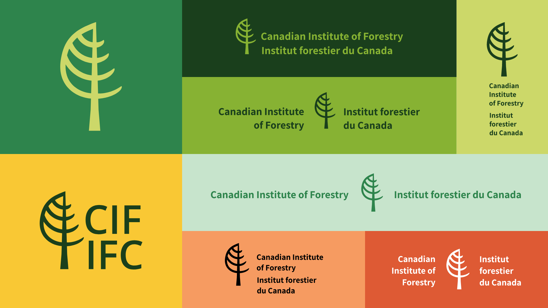 Logo-suite Colourful mosaic of CIF-IFC logo variations.