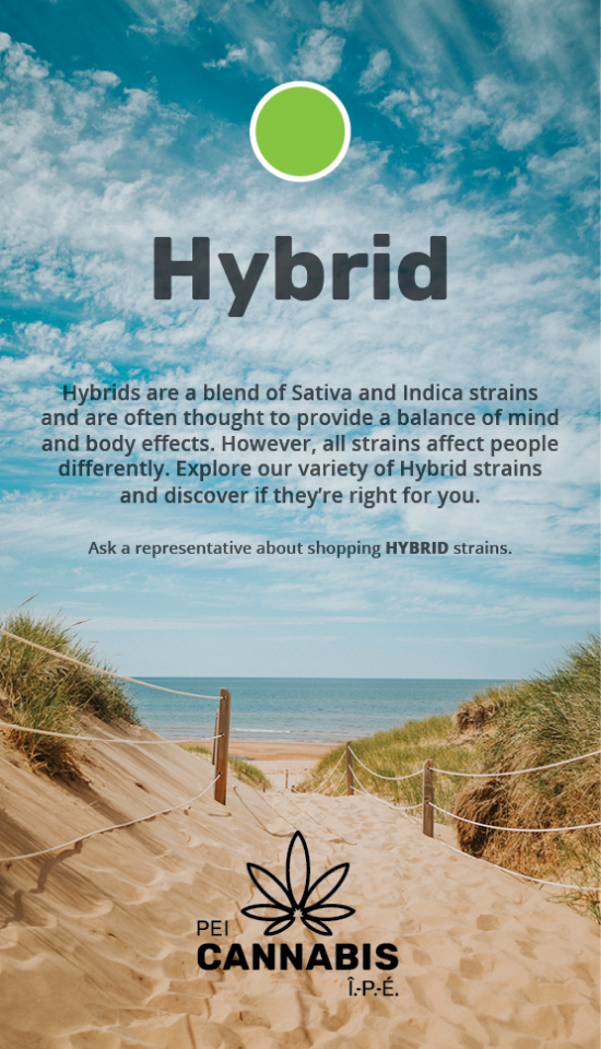 PEI Cannabis Hybrid Poster Hybrid strain in-store poster.