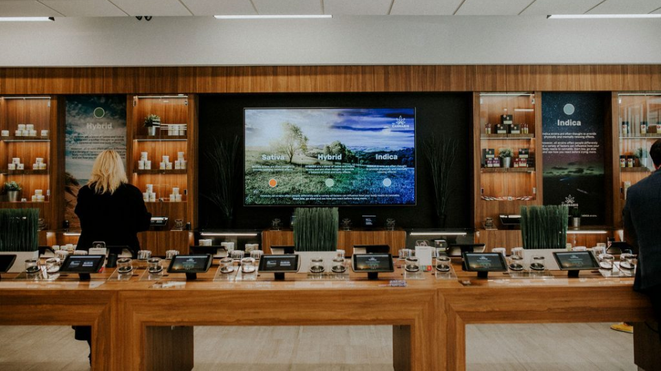 PEI-Cannabis-tablet-stations Educational posters and screens within PEI Cannabis store.