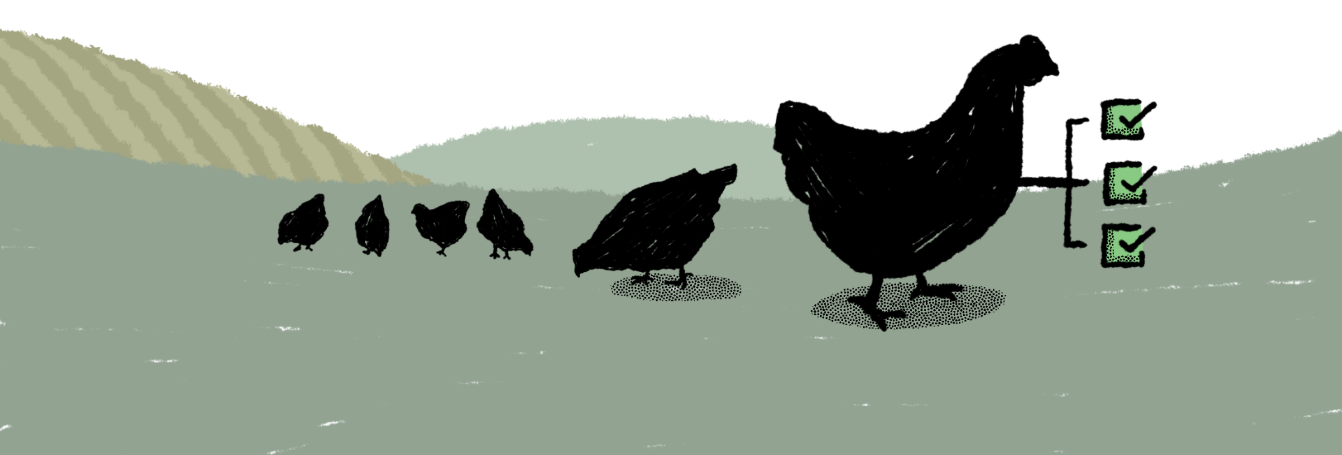 Valley-REN-Chickens-2 Illustration of chickens feeding in a field. One chicken has three check marked boxes protruding from it's figure.