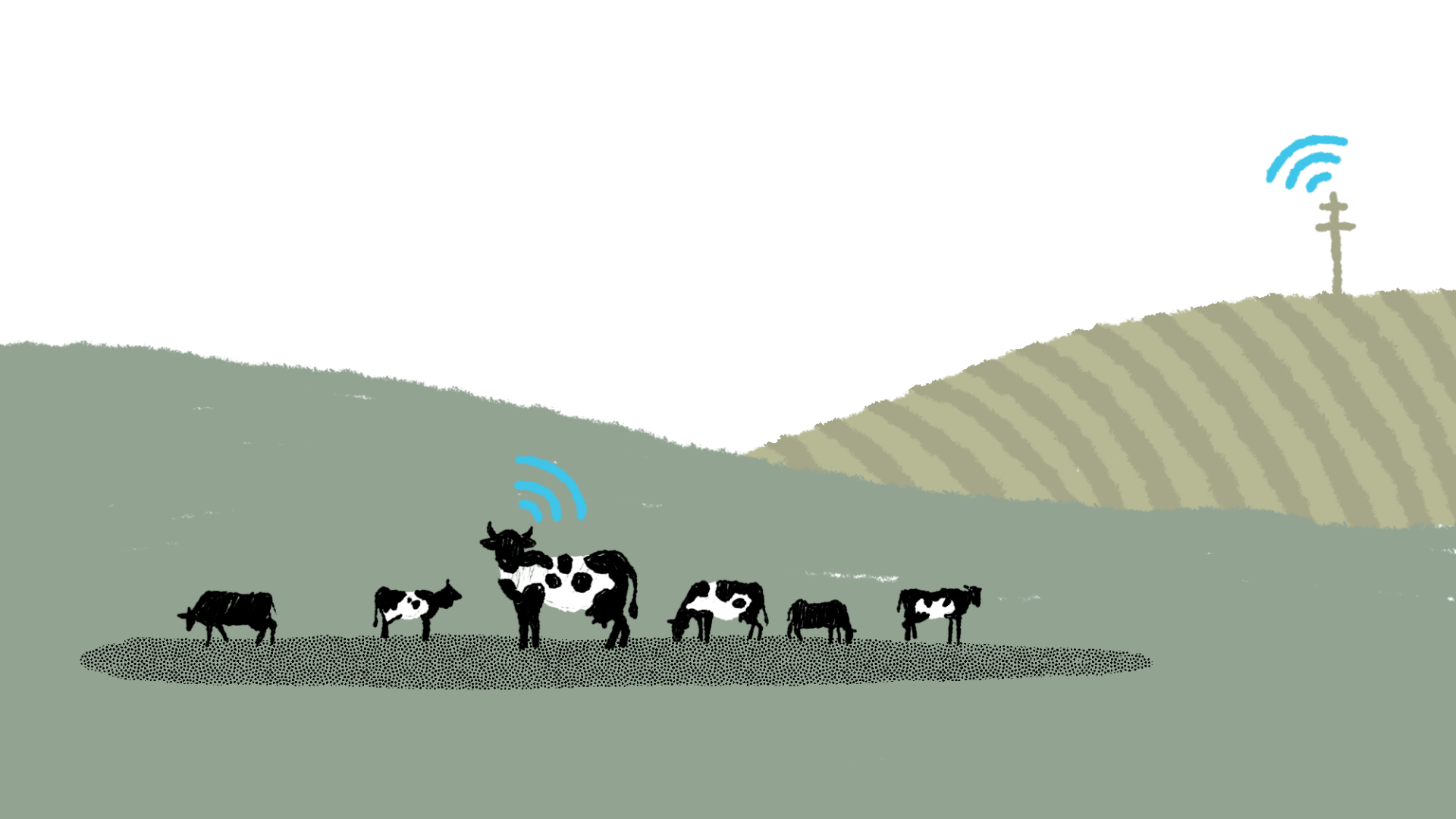 Valley-REN-Cows Illustration of cows in a field communicating with a communications tower in the background.