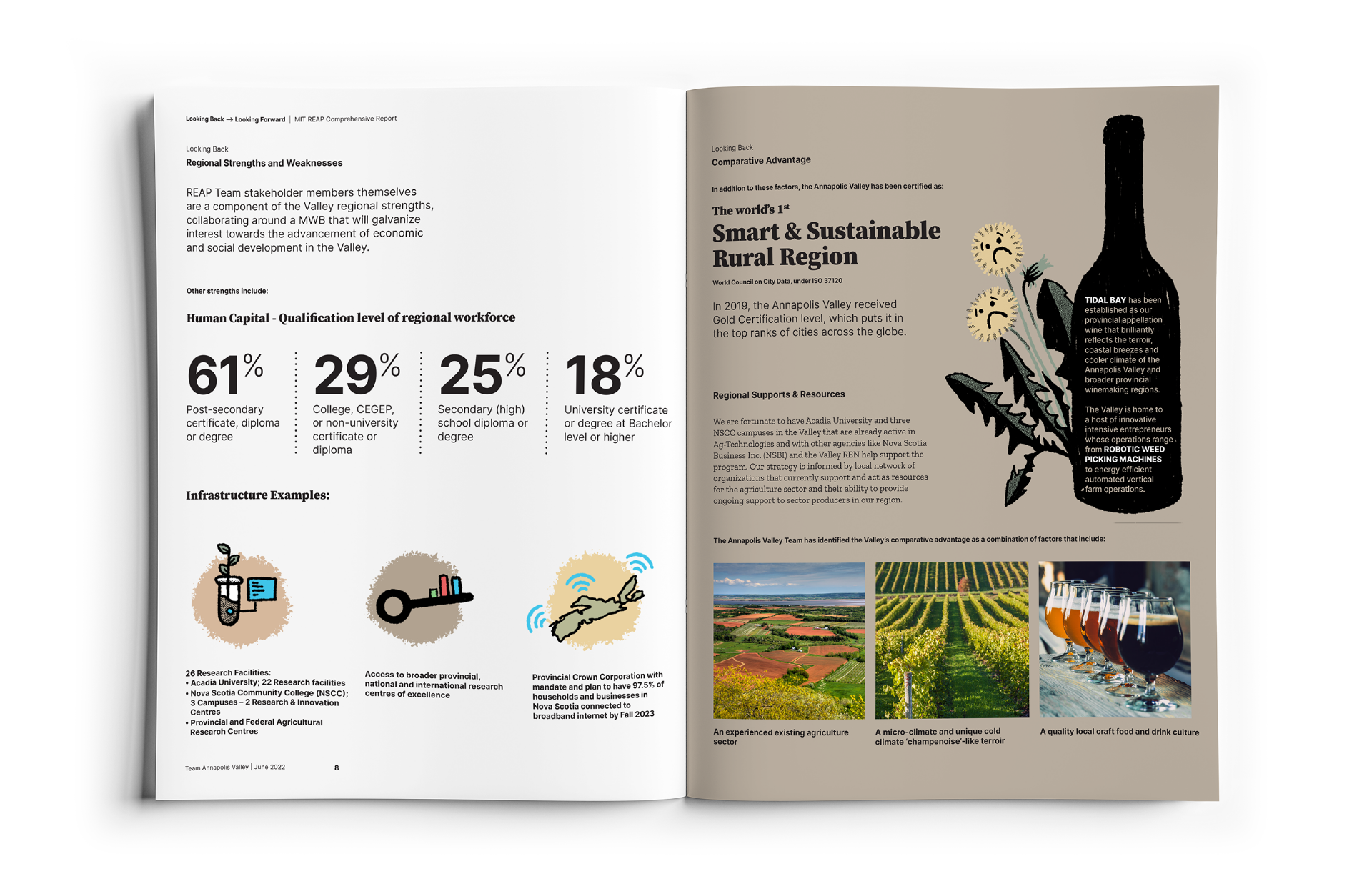 Valley-REN-Spread-3 Report spread titled, Smart and Sustainable Rural Region, featuring an illustration of dandelions hiding behind a wine bottle and three small infographic illustrations.