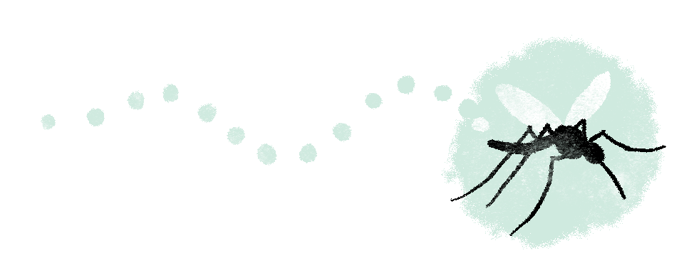 CIF-Mosquito-2 Flying mosquito.