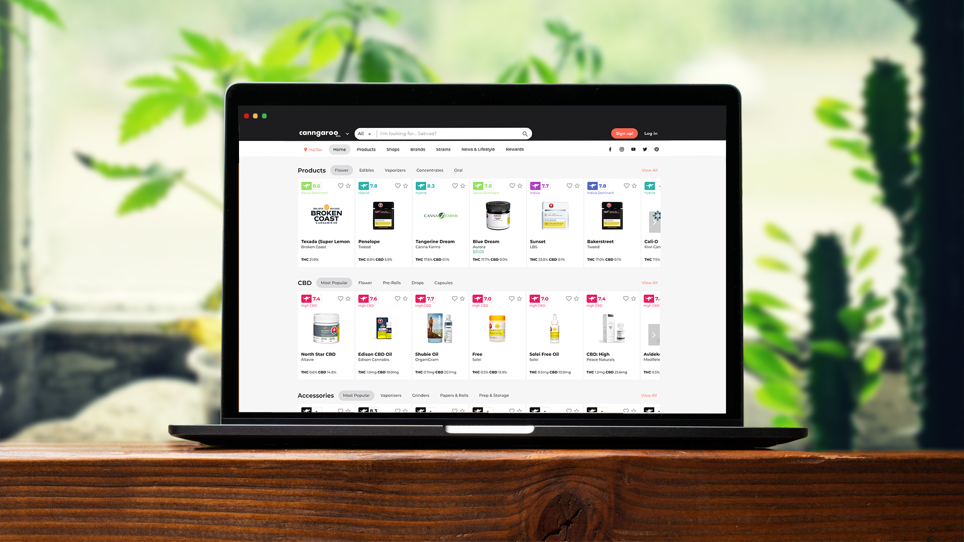 Canngaroo-Desktop-UI