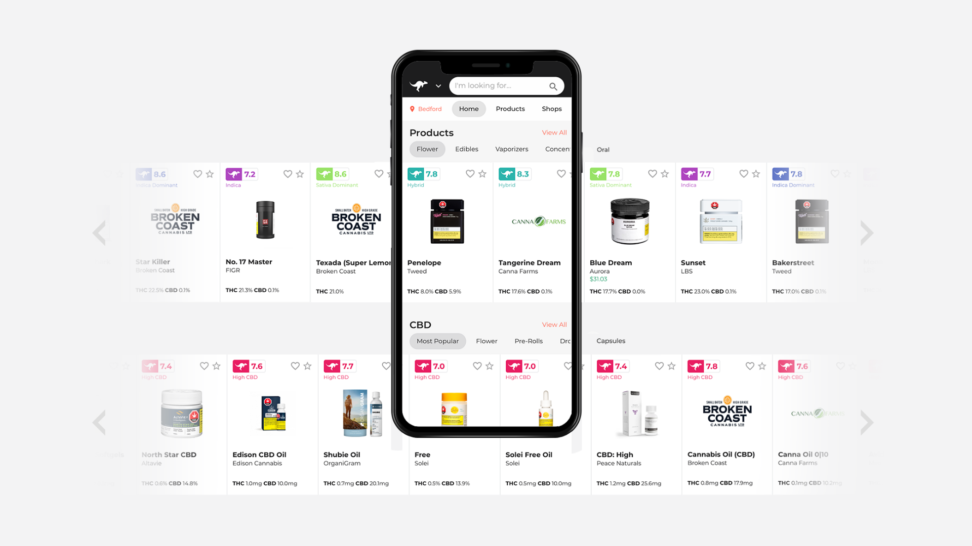 Mobile-UI Landing page carousels displayed on mobile device.